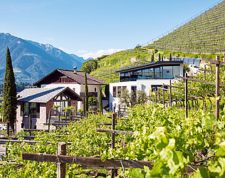 Wine Lodge Pratenberg