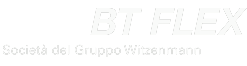 BT FLEX S.r.l. Logo