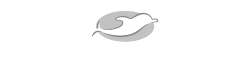 Bampi S.p.A. Logo